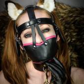 Ttb Muzzle Harness 016