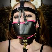 Ttb Muzzle Harness 019