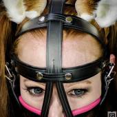 Ttb Muzzle Harness 020