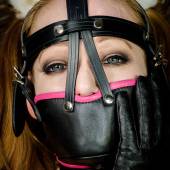 Ttb Muzzle Harness 021