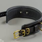 Dsg Shock Collar Wide 002