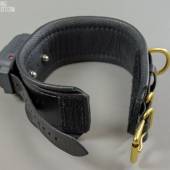 Dsg Shock Collar Wide 003