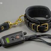 Dsg Shock Collar Wide 005