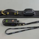 Dsg Shock Collar Wide 007