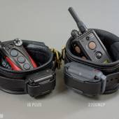 Dsg Shock Collar Wide 008