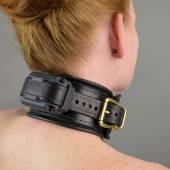 Dsg Shock Collar Wide 011
