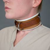 Dsg Shock Collar Wide 015